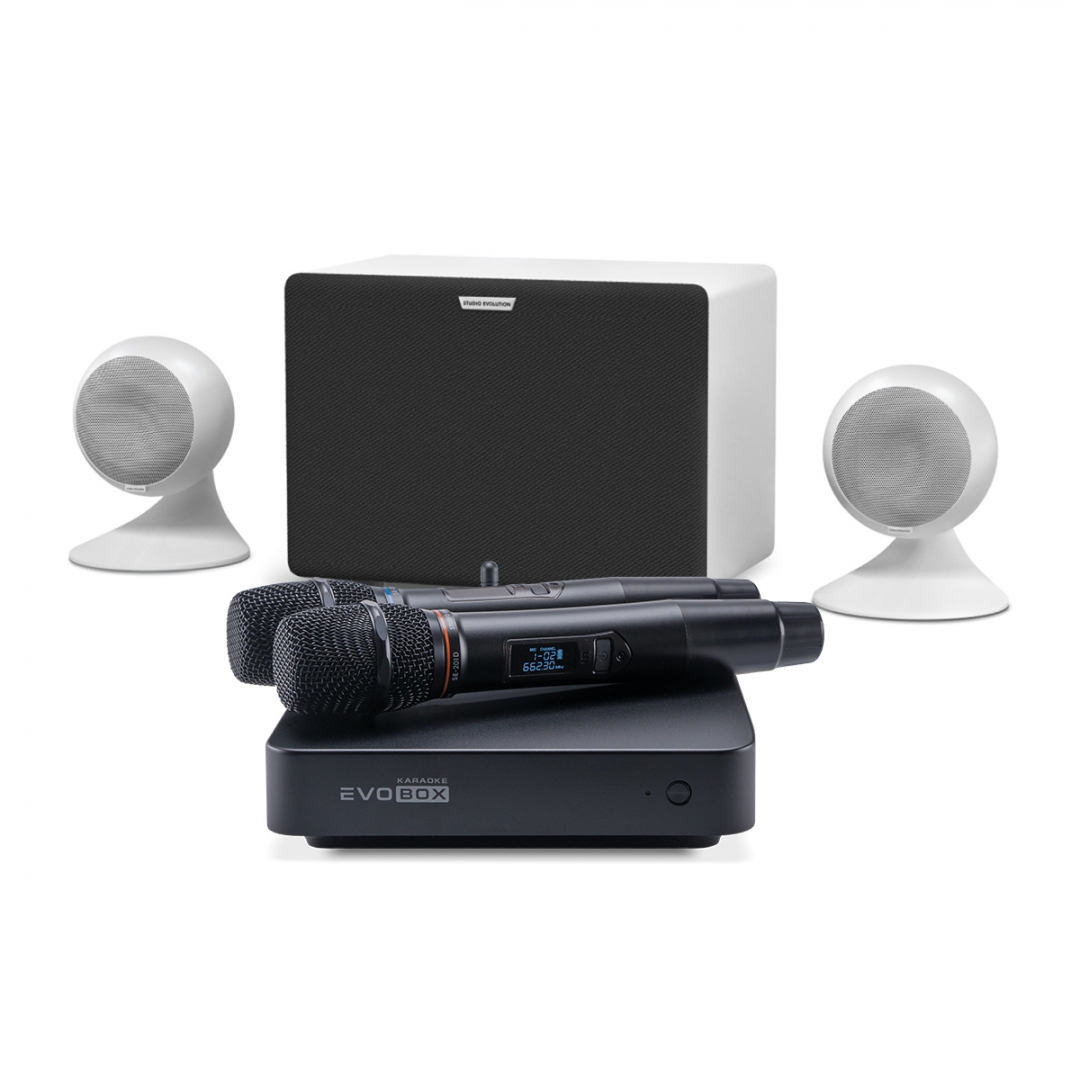 караоке-комплект EVOBOX Classic + EvoSound Sphere 2.1 в Химках