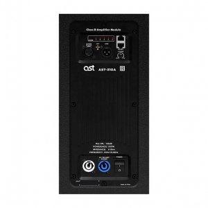 Активная акустическая система AST-310A в Химках