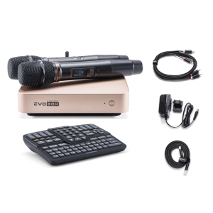 EVOBOX Classic караоке-система для дома в Химках